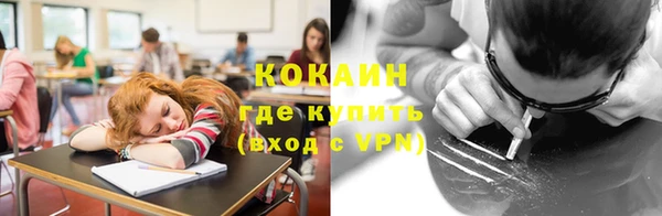крисы Алексин